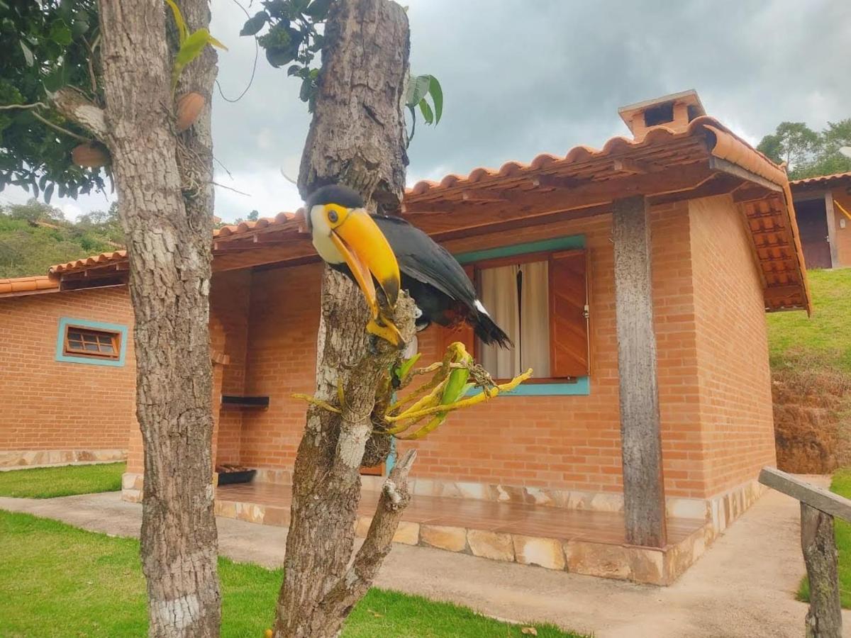 Villa Nova Chales Lima Duarte Exteriér fotografie